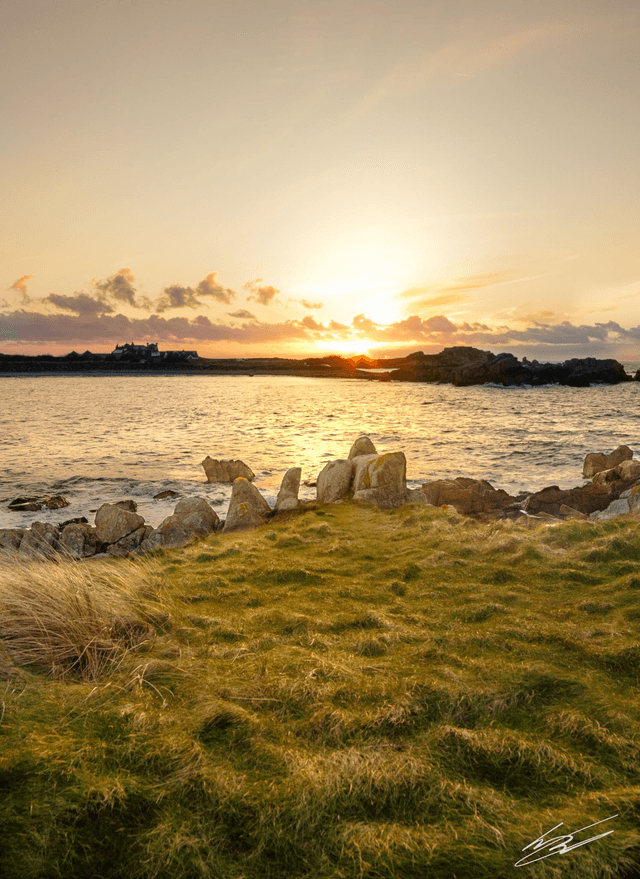 Port Soif Grassland Portrait
